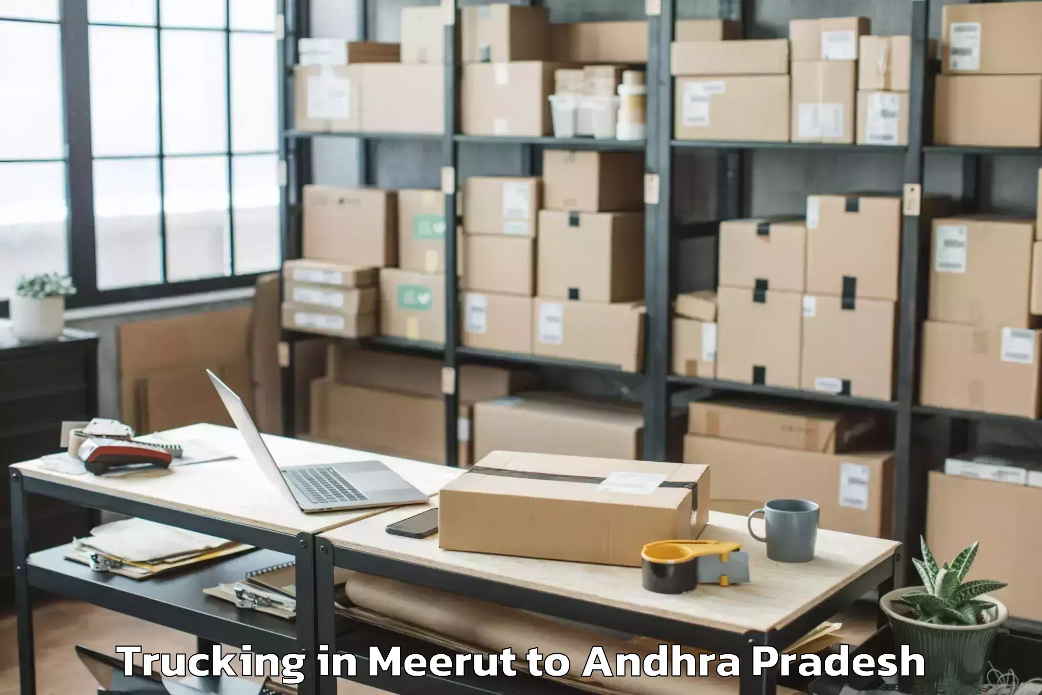 Professional Meerut to Prathipadu Trucking